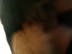 Dog porn video - Dog fuck Deep pussy girl