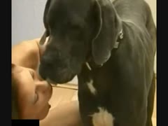 Porn with animal first time of hot girl