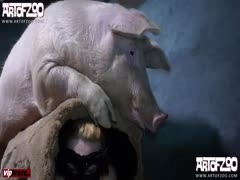 [Zoo] ArtOfZoo  - Pig Porn , Girl Sex Animal
