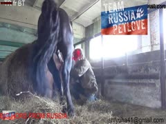 Hot Lady Trying Has Sex With Horse on stable