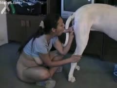 Good Dog Fucking Hardcore Latina Babe