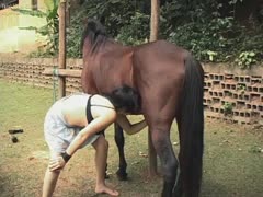 Truly crazy chick fucks with a horse