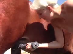 Babe is kneeling down to suck a horse