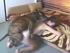 Doggy and pigtailed Asian have fun
