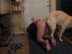 Classy gay beastiality videos with a dog