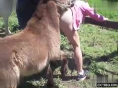Watch the Unbelievable, Shocking Video of a Donkey Fucking a Wife While Her Husband Helps!