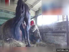 College Co-Ed Living Out Her Wildest Dream: The Adrenaline Rush of Horse Cock!