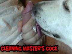 Free zoo sex videos of animals making love to human ladies and guys, along with a large dog licking come off an aroused cock host.