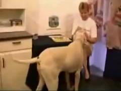 For example, in love xxx video zoo a sensual woman is sucking on a dog dick.