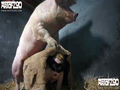 Lucky Pig - Animal Porn