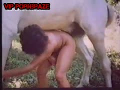 Www Horse Hardsex Com - amazing Animal Porn Video - Horse Hard Sex With Fat Pussy - Free Animal XXX  Videos & Zoo Sex Clips - Bestiality Porn Tube