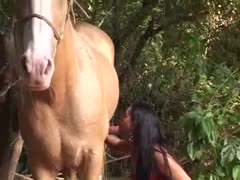 Latina Girl Fuck Horse Big Dick