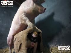 Pig Porn - Pig Fuck Girl