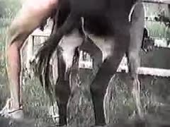 Teen girl slut fuck and drink horse cum