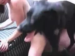 Playful brunette and dog have bestiality sex
