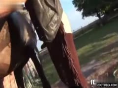 Gay Man Experiences Unexpected Ecstasy with a Stallion at a Farm – Unforgettable Pleasure Awaits!