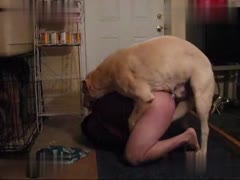 Man Rides His Big Dog to Download Free Porn — Sex Is Just a Click Away!