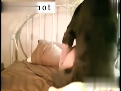 Caught in the Act: Cute Dark-Haired Chick Caught Having Sex with a Dog on Her Parents' Bed - Watch in High Quality!