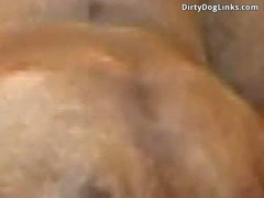 Girl Receives Unbelievable Gift After Fucking Dog in Free Zoo Porn!