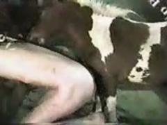 Gay guy pushing this little horses cock up his tight ass hole - Zoo Porn Horse Sex, Zoophilia top videos free sex sex watch hight quality