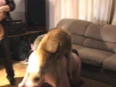 Animal sex xxx video zoo with gay guy in a dog trio