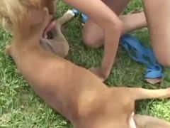 Free video of canine and female sex in a meadow Please select the categories for the incredibly appealing zoo sex movies and animal sex.