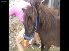 These videos of a girl being raped by a horse are among the best and most intriguing in the animal sex subgenre.